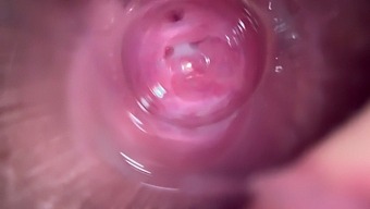 Close-Up View Of A Young Brunette'S Orgasmic Close-Up